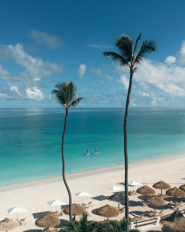 pristine beach and palm trees